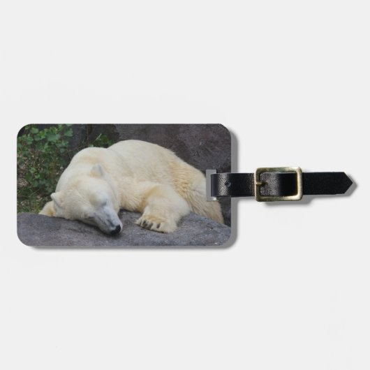 Schlafpolarbär Gepäckanhänger (Vorderseite horizontal)