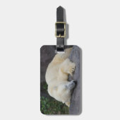 Schlafpolarbär Gepäckanhänger (Vorderseite vertikal)