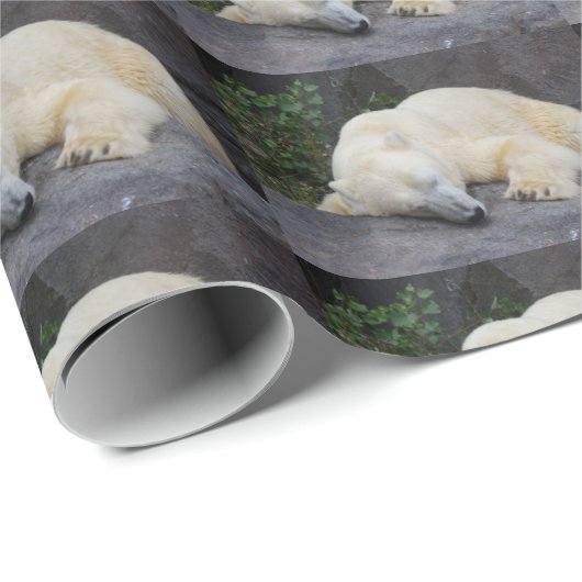 Schlafpolarbär Geschenkpapier (Rolleneckpunkt)