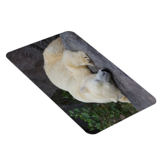 Schlafpolarbär Magnet (Rechte Seite)