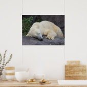 Schlafpolarbär Poster (Küche)