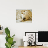 Schlafpoodle Welpe 2 Poster (Heimbüro)