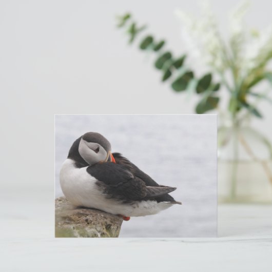 Schlafpuffin Postkarte (Stehend Vorderseite)