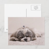 Schlafpuppe Postkarte (Vorne/Hinten)