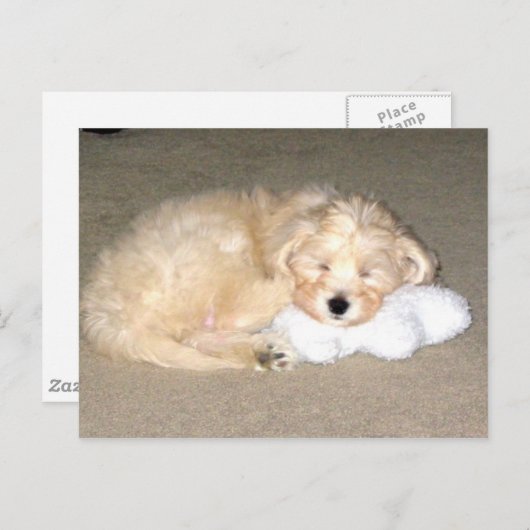 Schlafpuppe Postkarte (Vorne/Hinten)