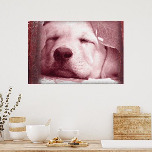 Schlafpuppenposter Poster (Küche)