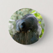 Schlafraccoon-Button Button (Vorderseite)