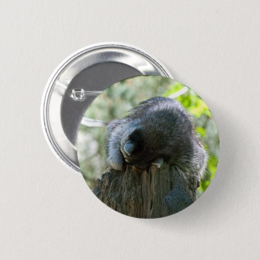 Schlafraccoon-Button Button (Vorne & Hinten)