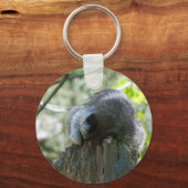 Schlafraccoon-Schlüsselanhänger Schlüsselanhänger (Vorderseite)