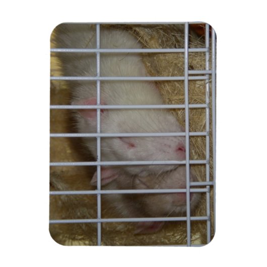 Schlafraten Flexi Magnet (Vertikal)