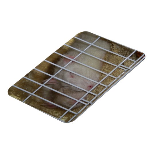 Schlafraten Flexi Magnet (Linke Seite)