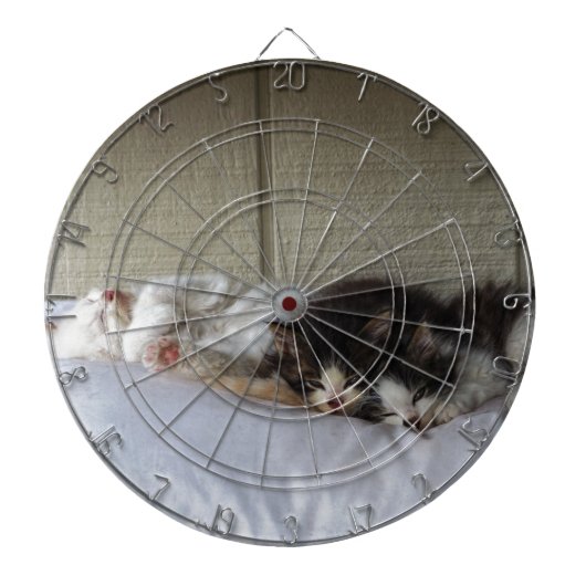 Schlafräume Dartscheibe (vorne)