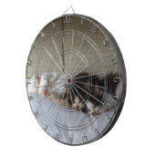 Schlafräume Dartscheibe (Vorderseite rechts)