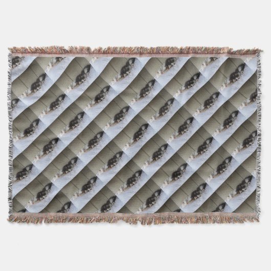 Schlafräume Decke (Vorderseite)