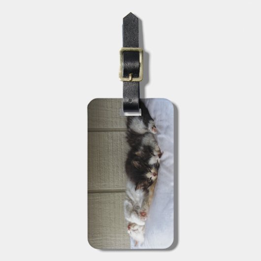 Schlafräume Gepäckanhänger (Vorderseite vertikal)