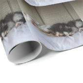 Schlafräume Geschenkpapier (Rolleneckpunkt)