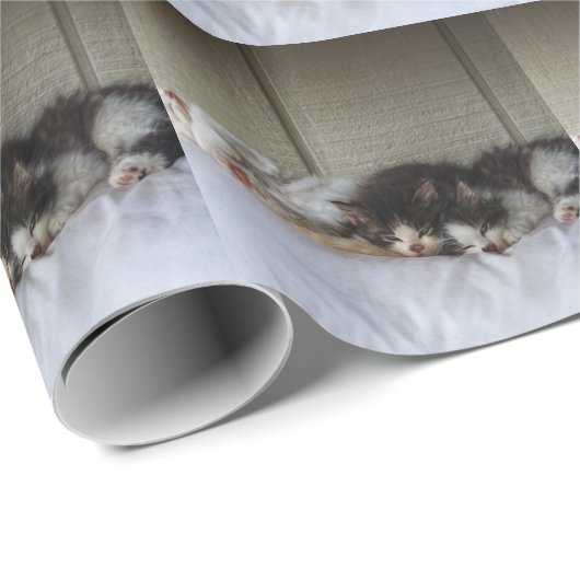 Schlafräume Geschenkpapier (Rolleneckpunkt)