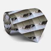 Schlafräume Krawatte (Gerollt)