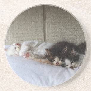 Schlafräume Untersetzer