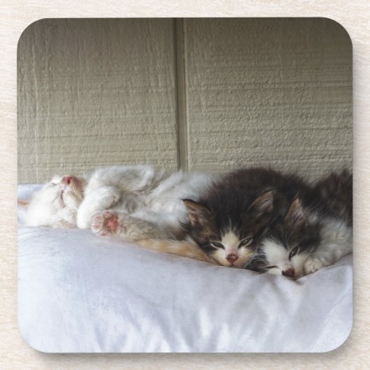 Schlafräume Untersetzer (Vorderseite)