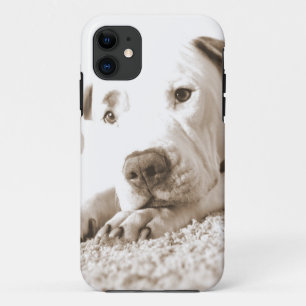 schläfrig-freundliche, weiße Pitbulle Hassdee nich Case-Mate iPhone Hülle