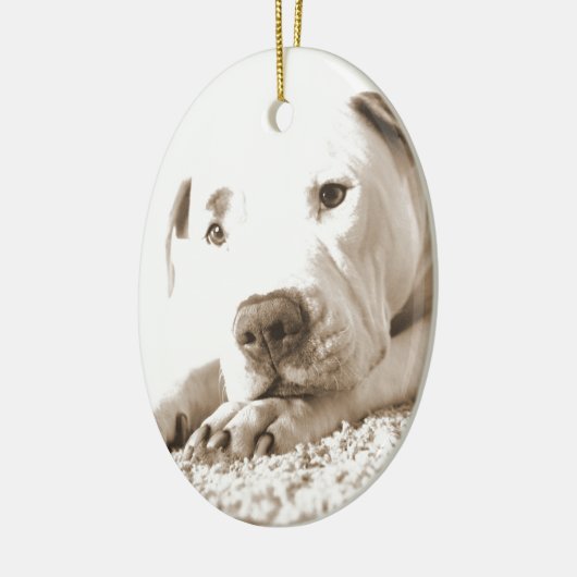 schläfrig-freundliche, weiße Pitbulle Hassdee nich Keramik Ornament (Links)