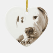 schläfrig-freundliche, weiße Pitbulle Hassdee nich Keramikornament (Vorne)