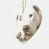 schläfrig-freundliche, weiße Pitbulle Hassdee nich Keramikornament (Links)