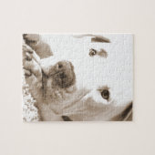 schläfrig-freundliche, weiße Pitbulle Hassdee nich Puzzle (Horizontal)