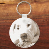 schläfrig-freundliche, weiße Pitbulle Hassdee nich Schlüsselanhänger (Vorderseite)
