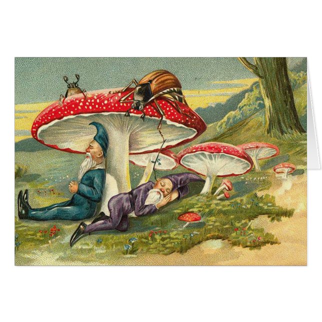 Schläfrige Elfe (Vorderseite (Horizontal))