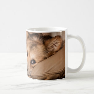 Schläfrige felsige Tasse