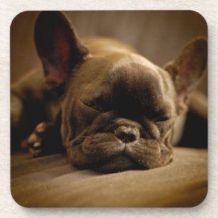 Schläfrige französische Bulldogge Getränkeuntersetzer