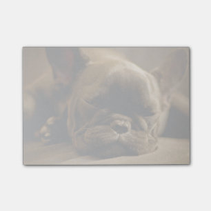 Schläfrige französische Bulldogge Post-it Klebezettel
