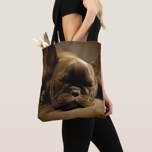 Schläfrige französische Bulldogge Tasche (Von Nahem)