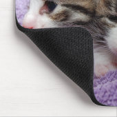 Schläfrige Kätzchen Mousepad (Ecke)