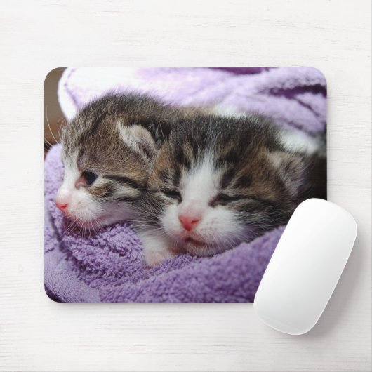Schläfrige Kätzchen Mousepad (Mit Mouse)