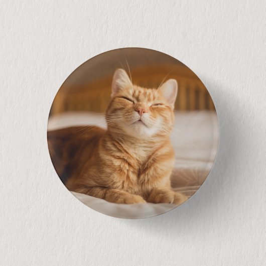 Schläfrige Katze Getty Bild-| Button (Vorderseite)