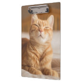 Schläfrige Katze Getty Bild-| Klemmbrett (Links)