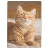 Schläfrige Katze Getty Bild-| Klemmbrett (Rückseite)