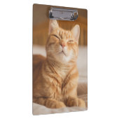 Schläfrige Katze Getty Bild-| Klemmbrett (Rechts)