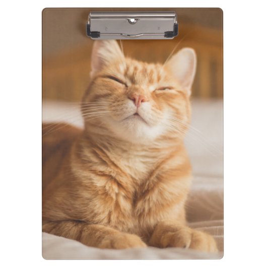 Schläfrige Katze Getty Bild-| Klemmbrett (Vorderseite)