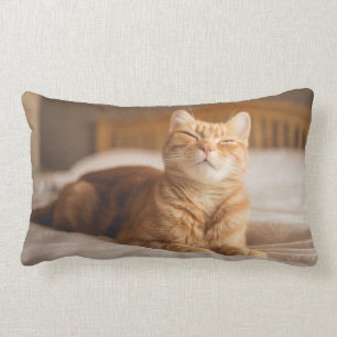 Schläfrige Katze Getty Bild-  Lendenkissen