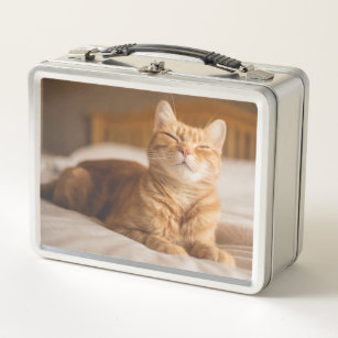 Schläfrige Katze Getty Bild-  Metall Lunch Box