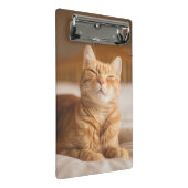 Schläfrige Katze Getty Bild-| Mini Klemmbrett (Schrägansicht)
