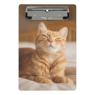 Schläfrige Katze Getty Bild- Mini Klemmbrett