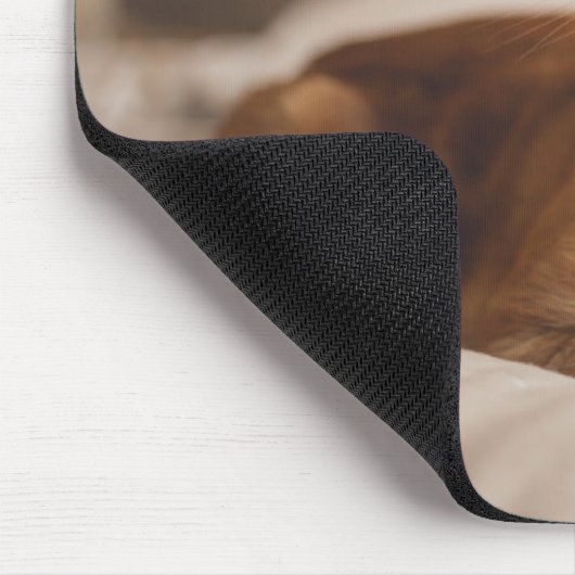 Schläfrige Katze Getty Bild-| Mousepad (Ecke)