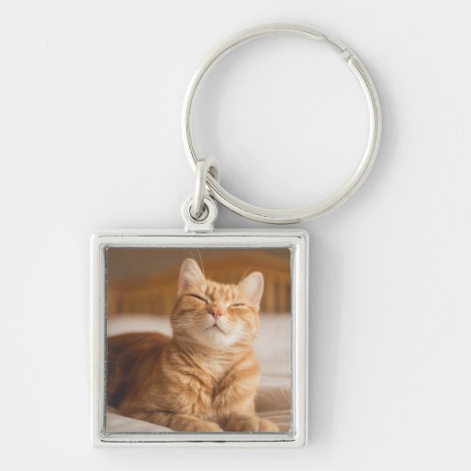Schläfrige Katze Getty Bild-| Schlüsselanhänger (Vorne)