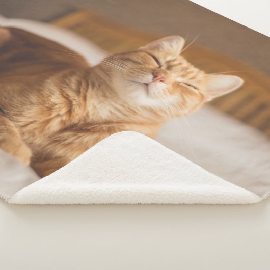 Schläfrige Katze Getty Bild-| Sherpadecke (3/4)