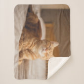 Schläfrige Katze Getty Bild-| Sherpadecke (Vorderseite)